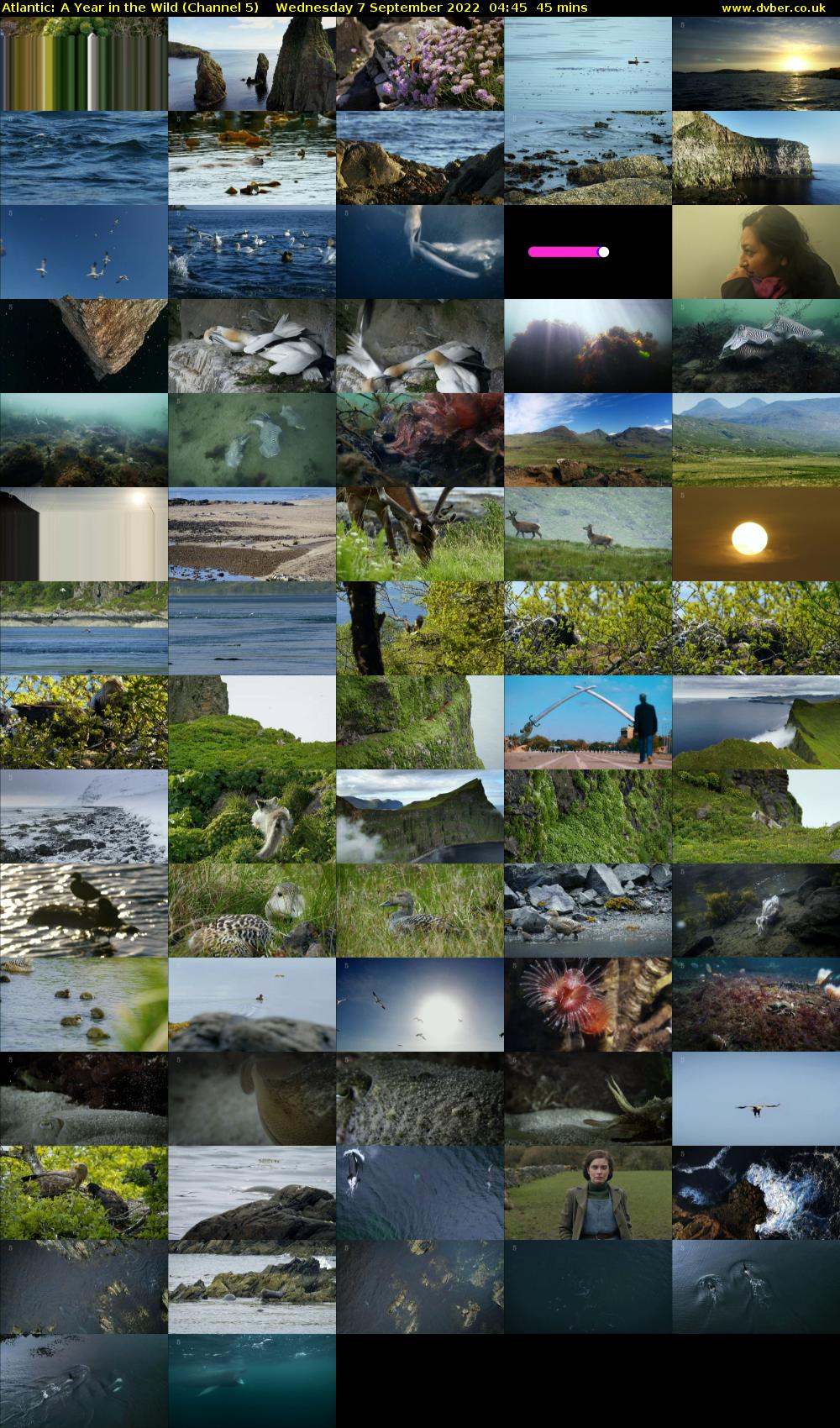 Atlantic: A Year in the Wild (Channel 5) Wednesday 7 September 2022 04:45 - 05:30