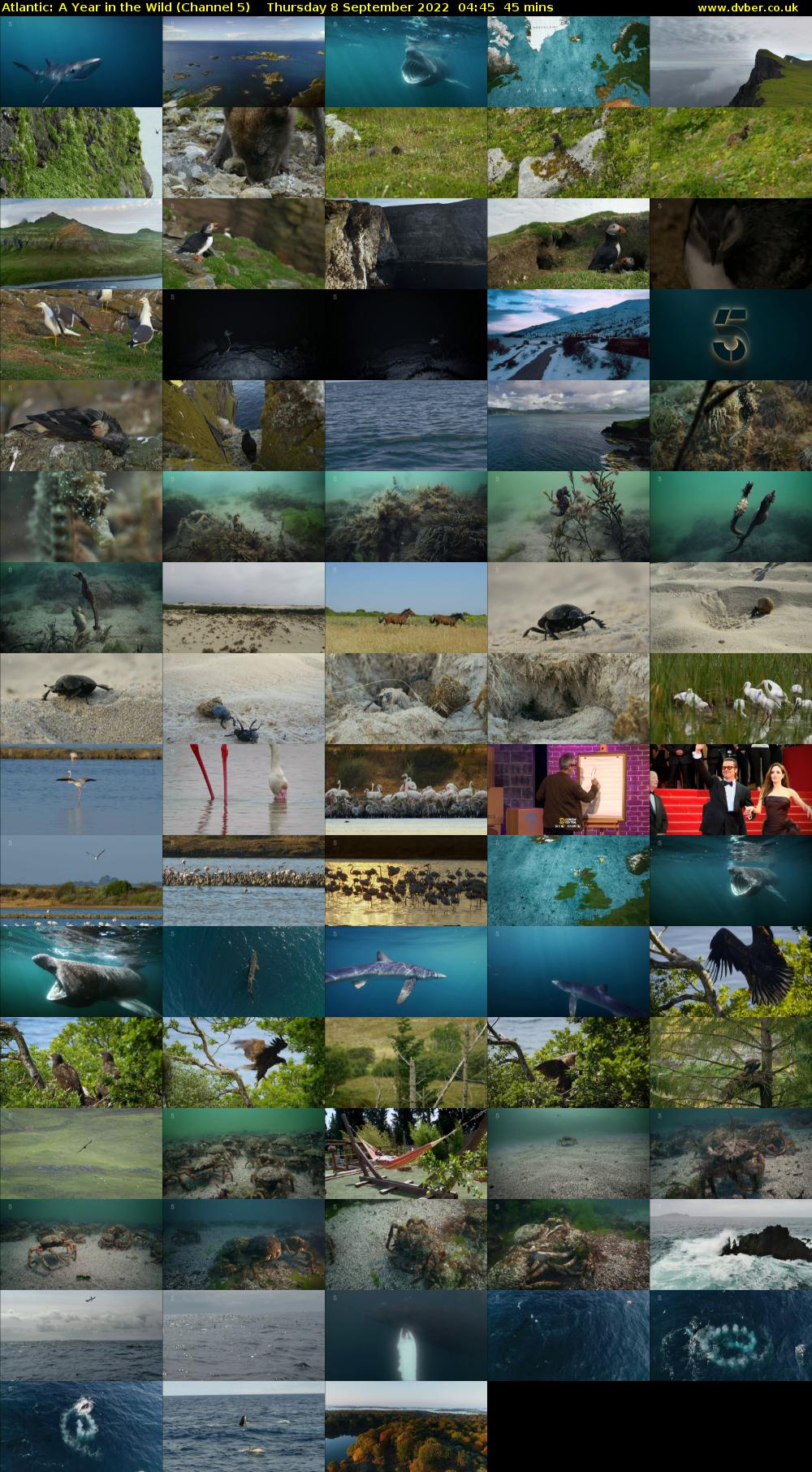 Atlantic: A Year in the Wild (Channel 5) Thursday 8 September 2022 04:45 - 05:30