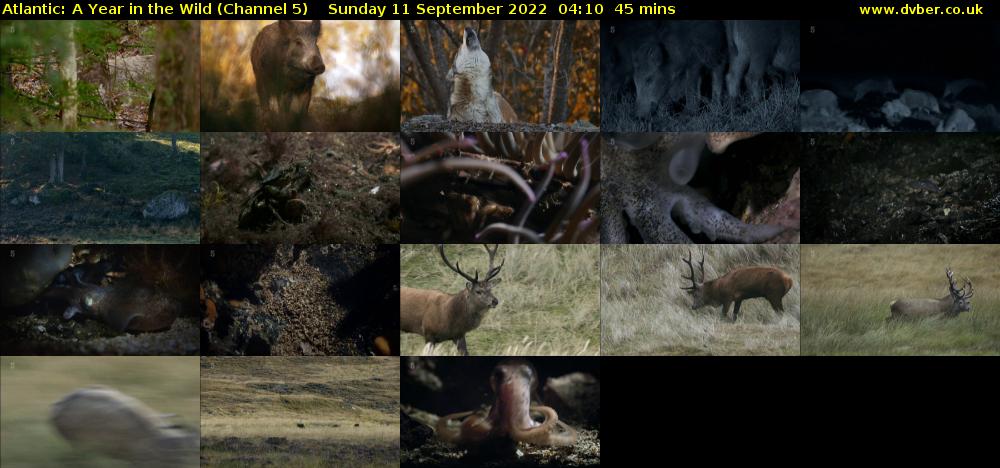 Atlantic: A Year in the Wild (Channel 5) Sunday 11 September 2022 04:10 - 04:55