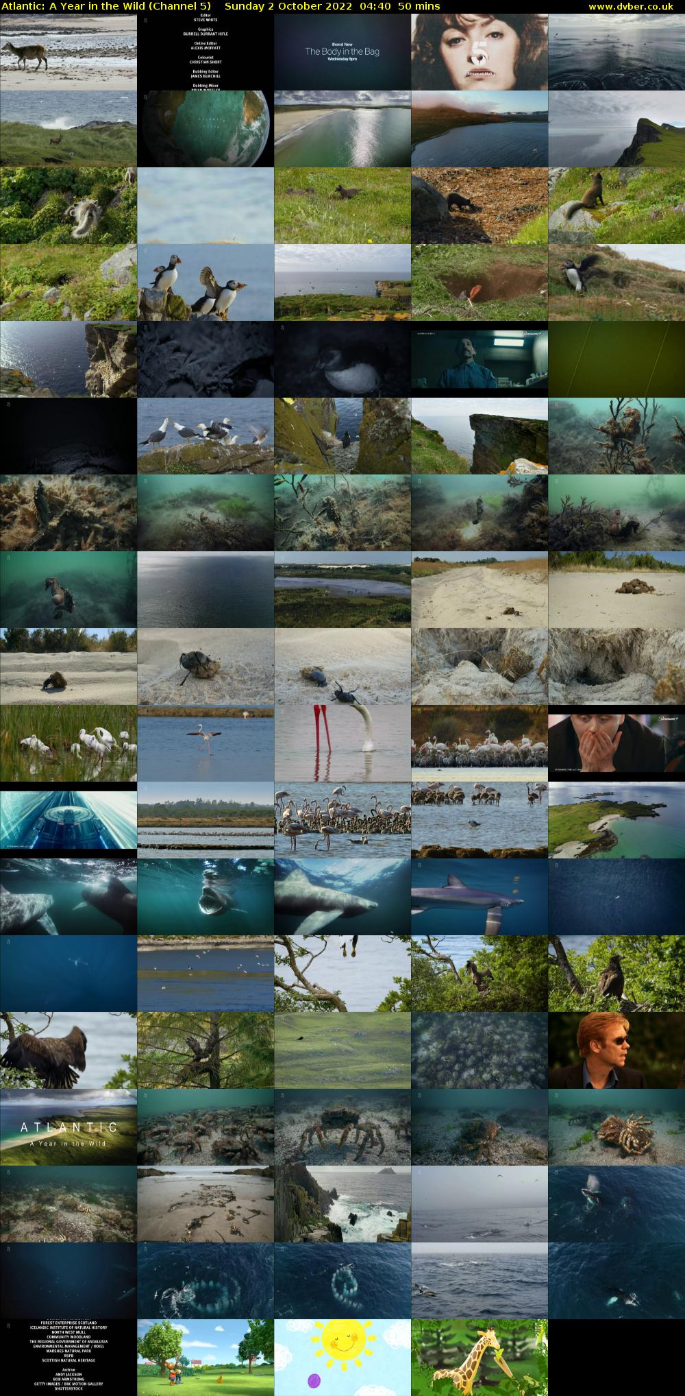 Atlantic: A Year in the Wild (Channel 5) Sunday 2 October 2022 04:40 - 05:30