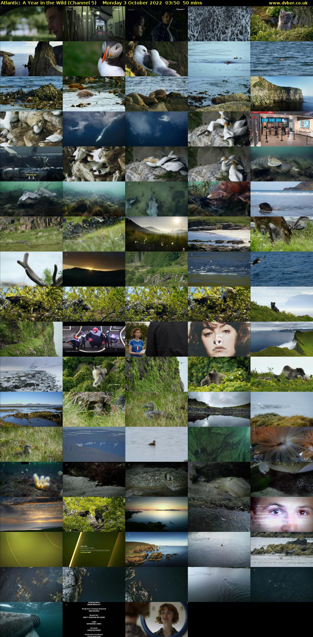 Atlantic: A Year in the Wild (Channel 5) Monday 3 October 2022 03:50 - 04:40
