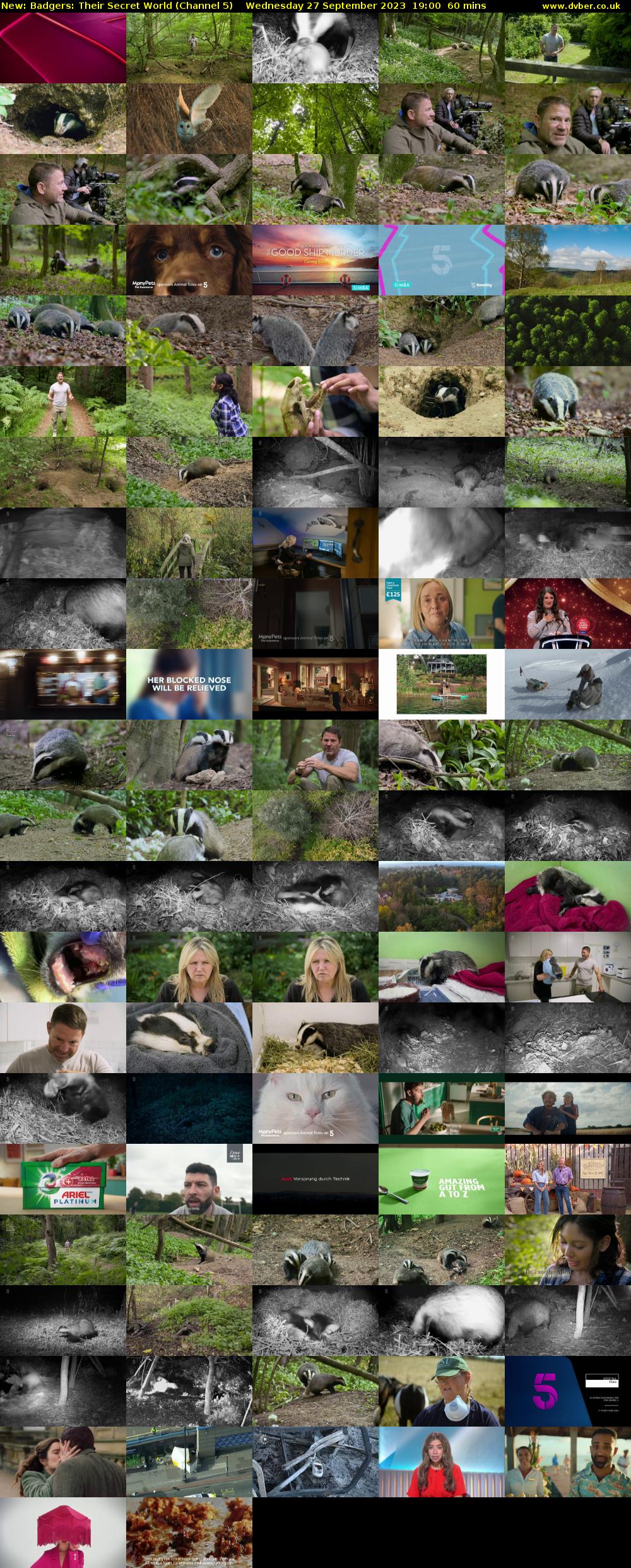 Badgers: Their Secret World (Channel 5) Wednesday 27 September 2023 19:00 - 20:00