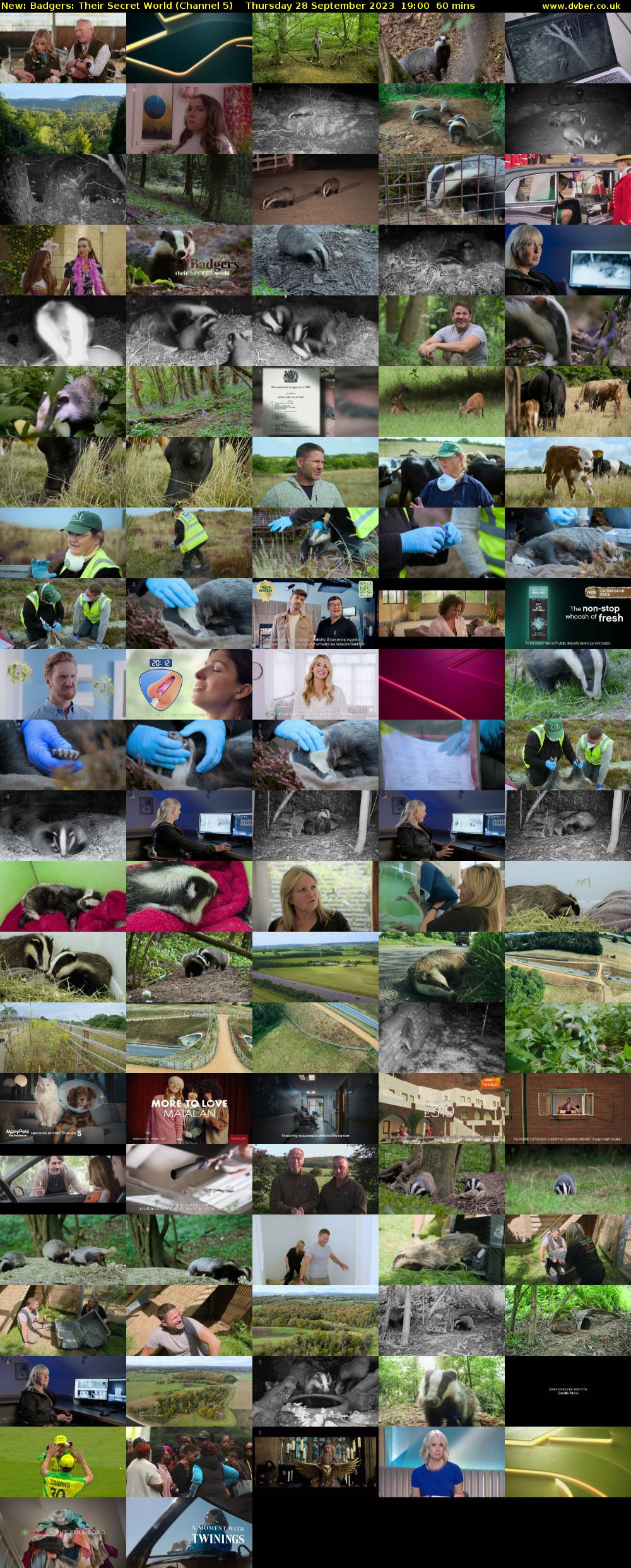 Badgers: Their Secret World (Channel 5) Thursday 28 September 2023 19:00 - 20:00