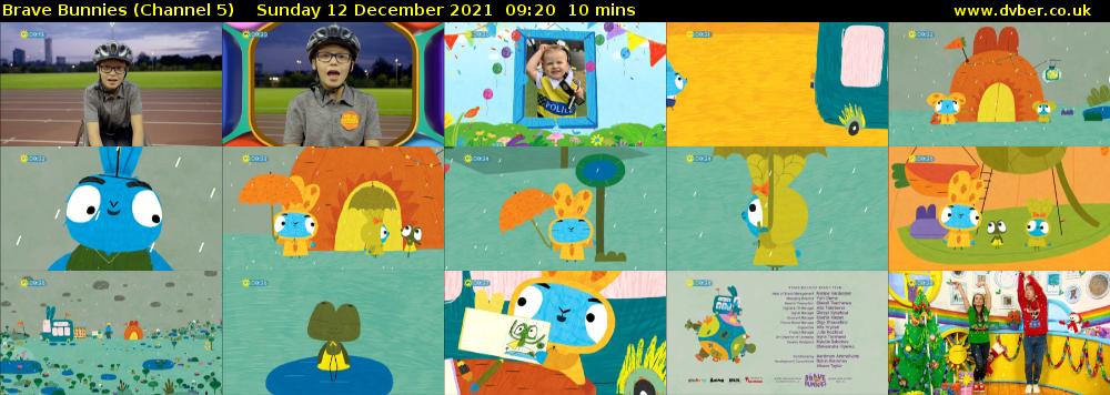 Brave Bunnies (Channel 5) Sunday 12 December 2021 09:20 - 09:30