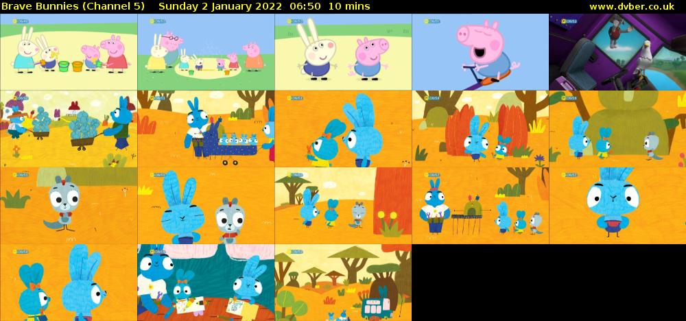 Brave Bunnies (Channel 5) Sunday 2 January 2022 06:50 - 07:00