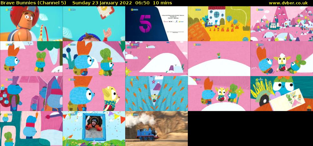 Brave Bunnies (Channel 5) Sunday 23 January 2022 06:50 - 07:00