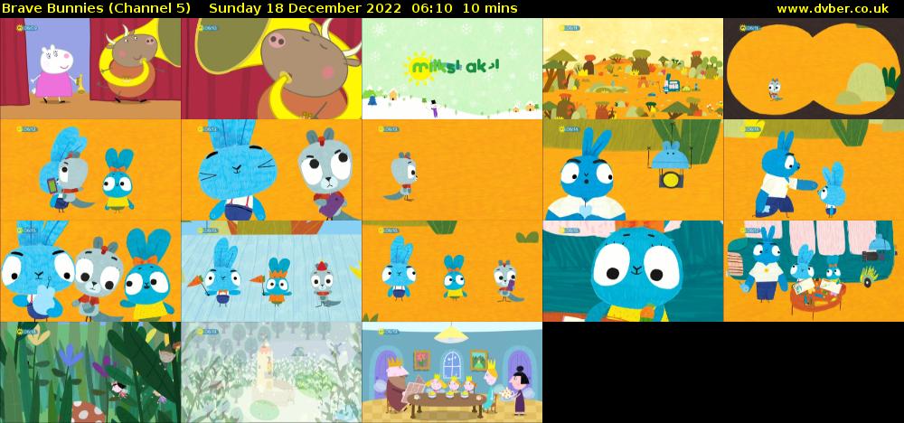 Brave Bunnies (Channel 5) Sunday 18 December 2022 06:10 - 06:20