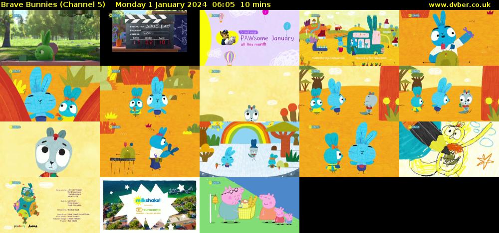 Brave Bunnies (Channel 5) Monday 1 January 2024 06:05 - 06:15
