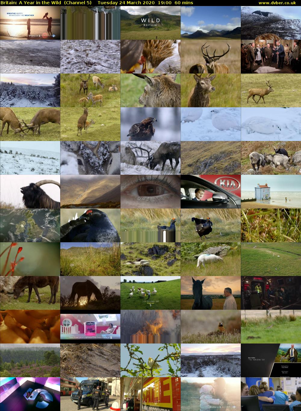 Britain: A Year in the Wild  (Channel 5) Tuesday 24 March 2020 19:00 - 20:00