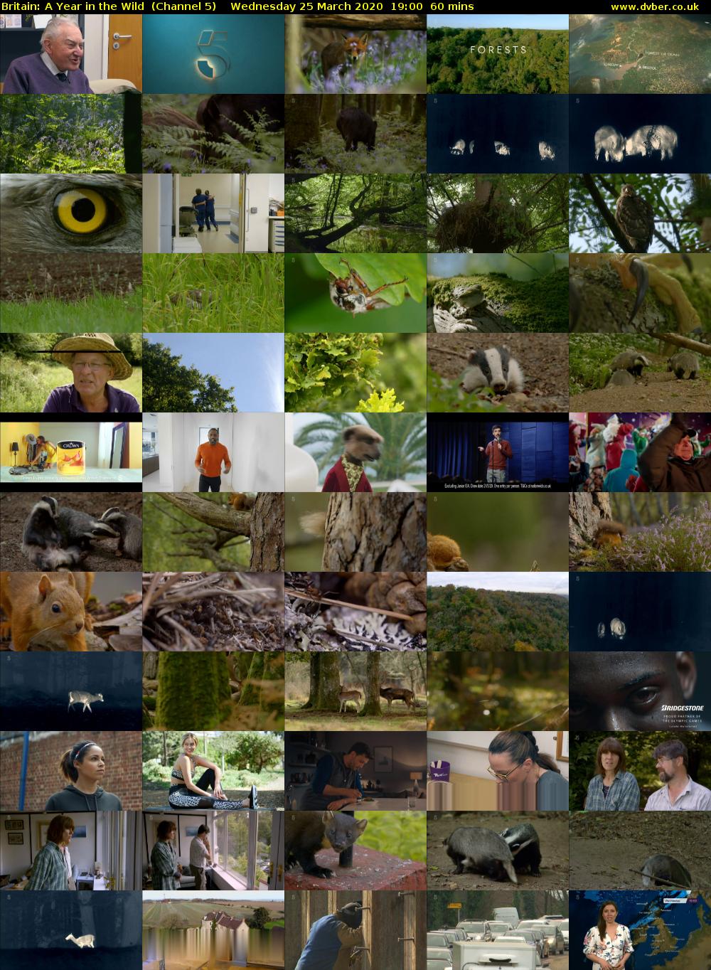 Britain: A Year in the Wild  (Channel 5) Wednesday 25 March 2020 19:00 - 20:00