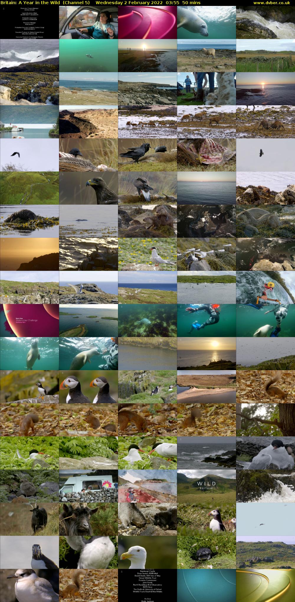 Britain: A Year in the Wild  (Channel 5) Wednesday 2 February 2022 03:55 - 04:45