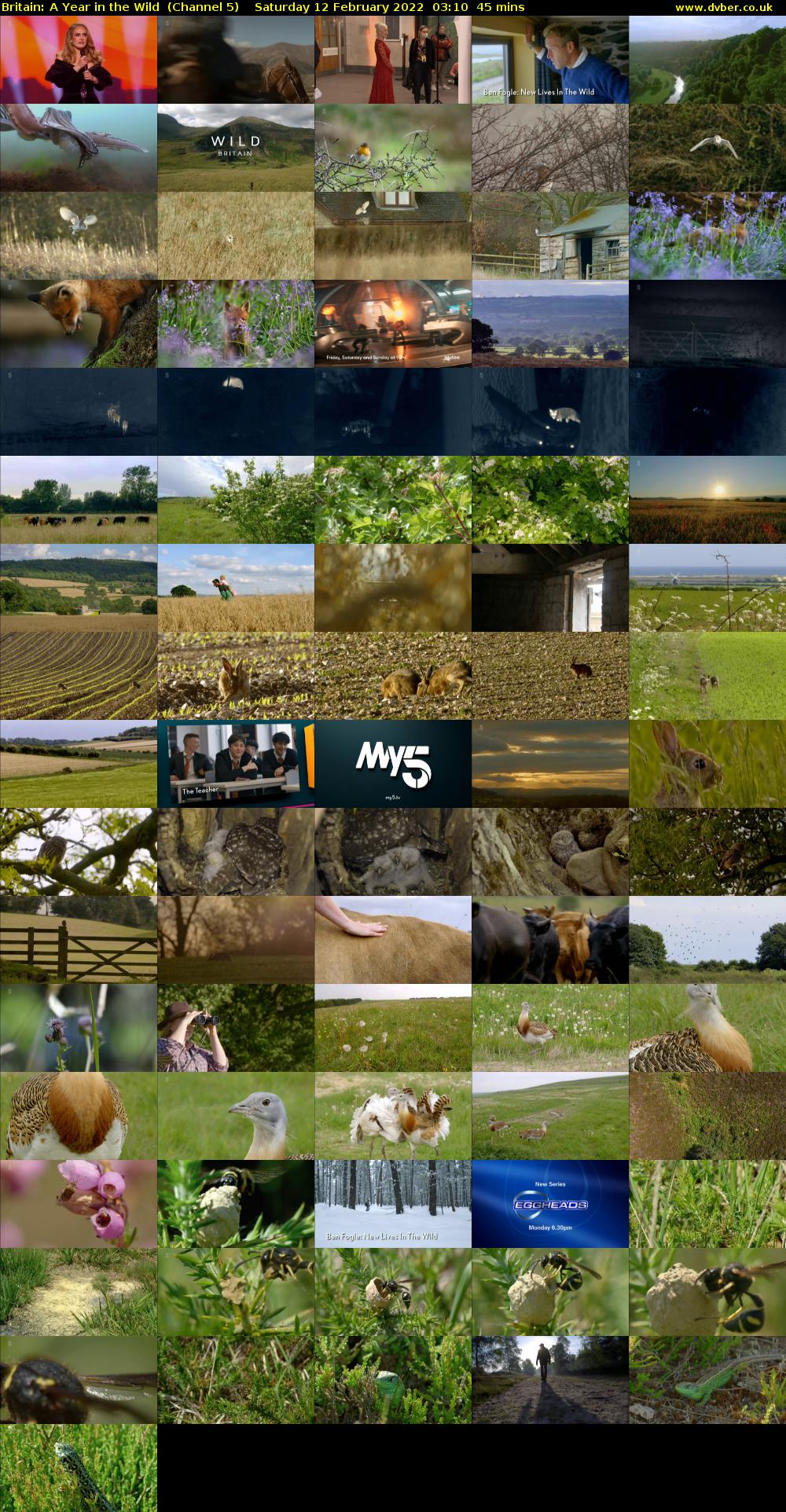 Britain: A Year in the Wild  (Channel 5) Saturday 12 February 2022 03:10 - 03:55