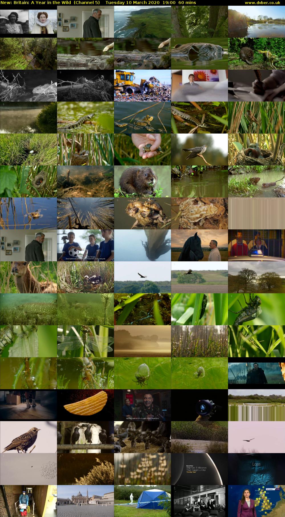 Britain: A Year in the Wild (Channel 5) Tuesday 10 March 2020 19:00 - 20:00