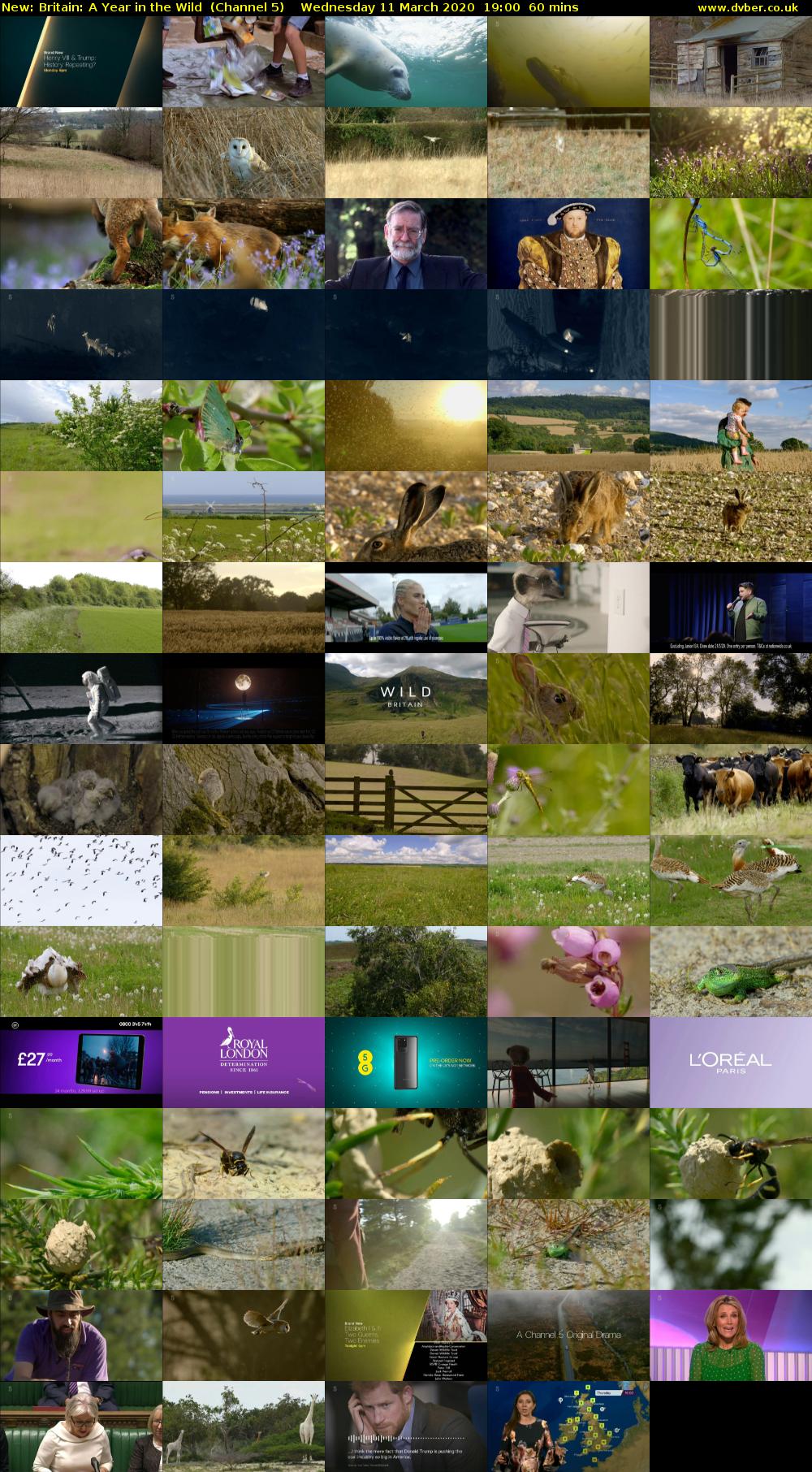 Britain: A Year in the Wild (Channel 5) Wednesday 11 March 2020 19:00 - 20:00