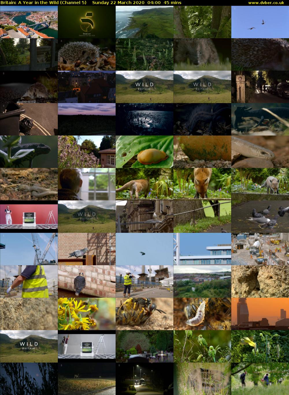 Britain: A Year in the Wild (Channel 5) Sunday 22 March 2020 04:00 - 04:45