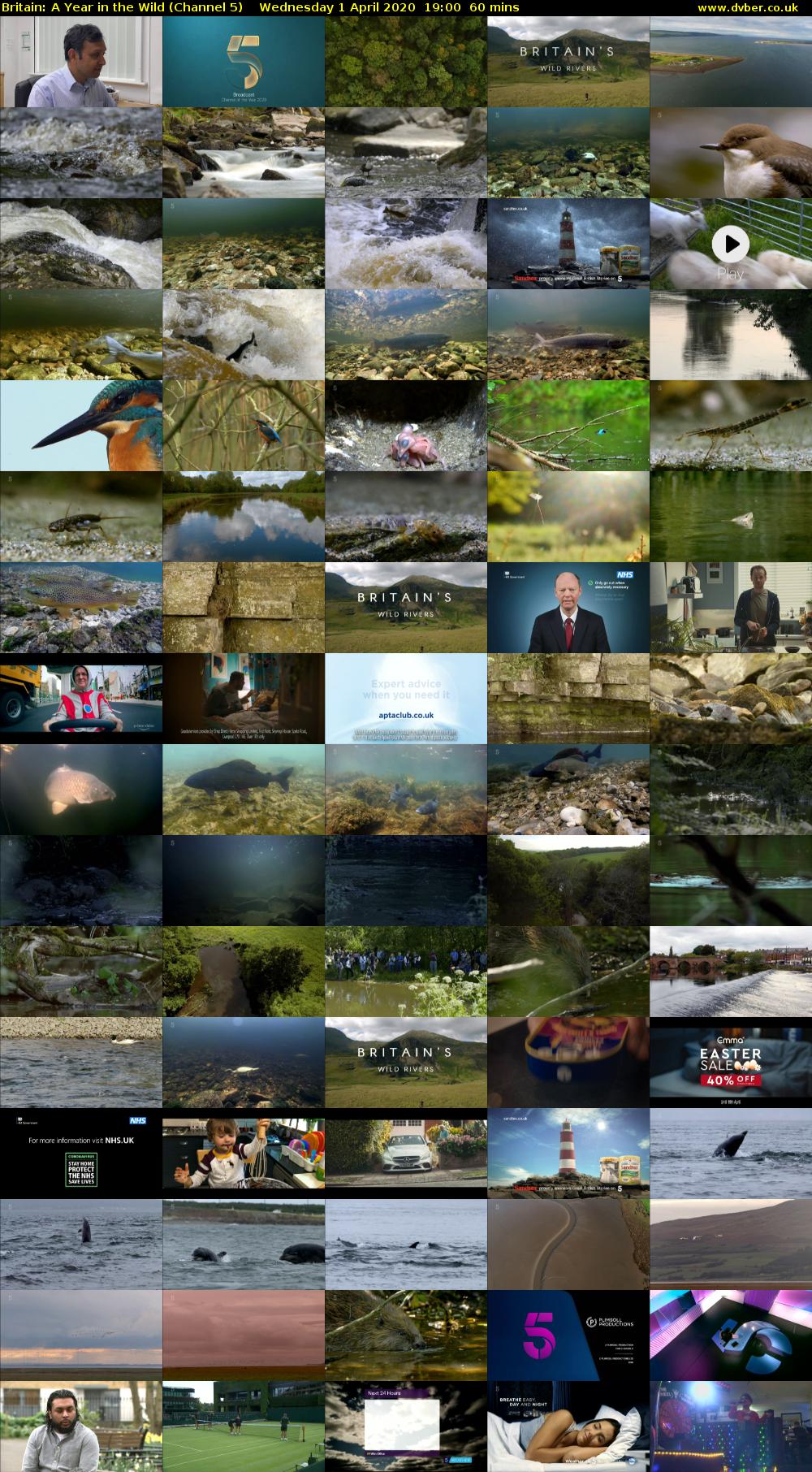 Britain: A Year in the Wild (Channel 5) Wednesday 1 April 2020 19:00 - 20:00