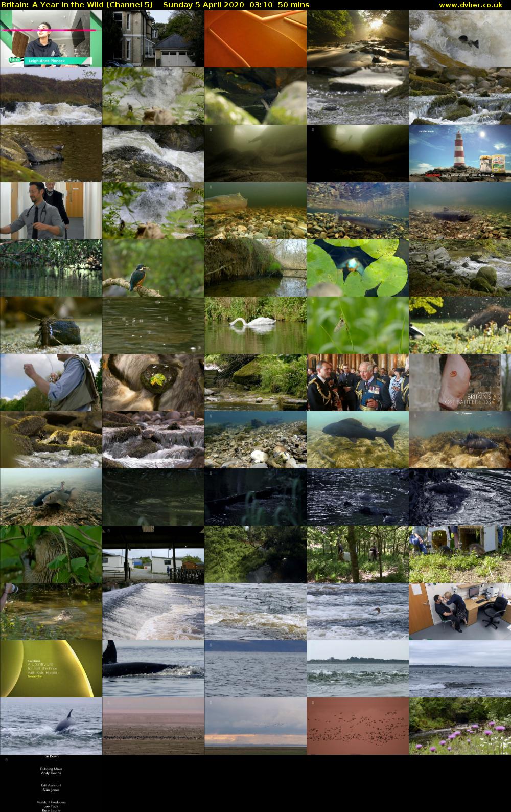Britain: A Year in the Wild (Channel 5) Sunday 5 April 2020 03:10 - 04:00
