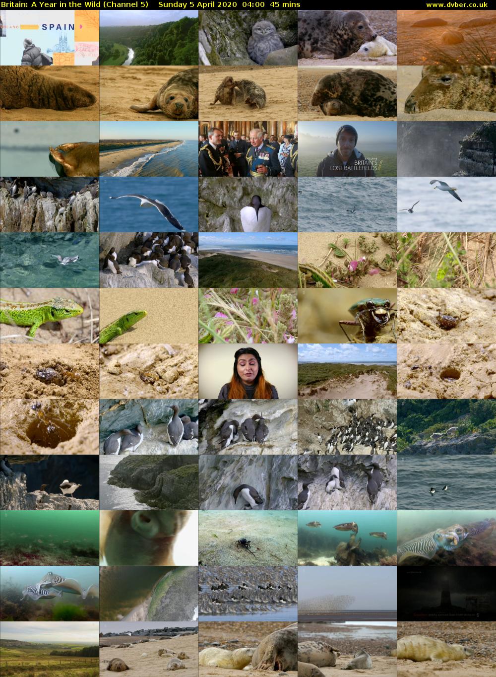 Britain: A Year in the Wild (Channel 5) Sunday 5 April 2020 04:00 - 04:45