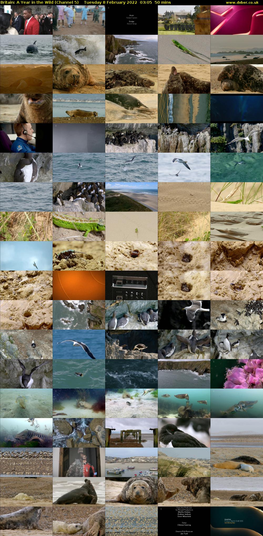 Britain: A Year in the Wild (Channel 5) Tuesday 8 February 2022 03:05 - 03:55