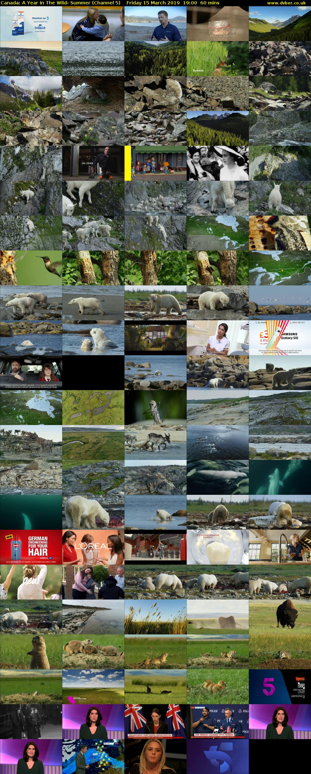 Canada: A Year In The Wild- Summer (Channel 5) Friday 15 March 2019 19:00 - 20:00