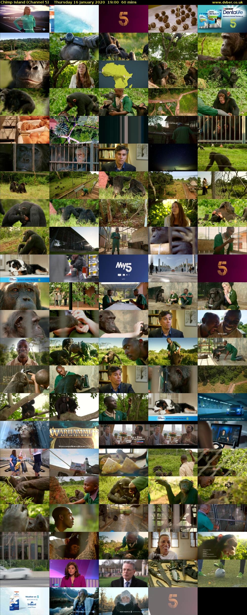 Chimp Island (Channel 5) Thursday 16 January 2020 19:00 - 20:00