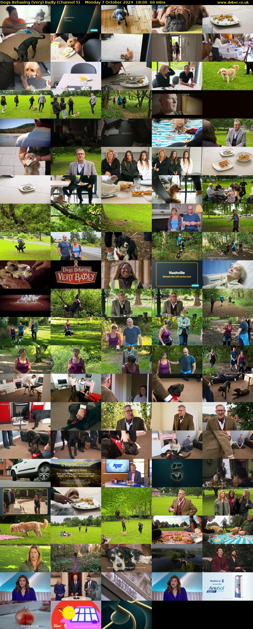 Dogs Behaving (Very) Badly (Channel 5) Monday 7 October 2024 18:00 - 19:00