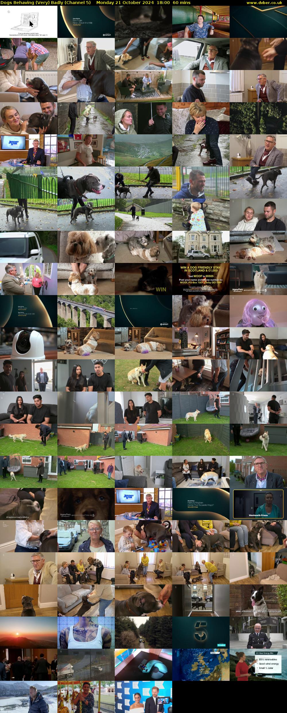 Dogs Behaving (Very) Badly (Channel 5) Monday 21 October 2024 18:00 - 19:00