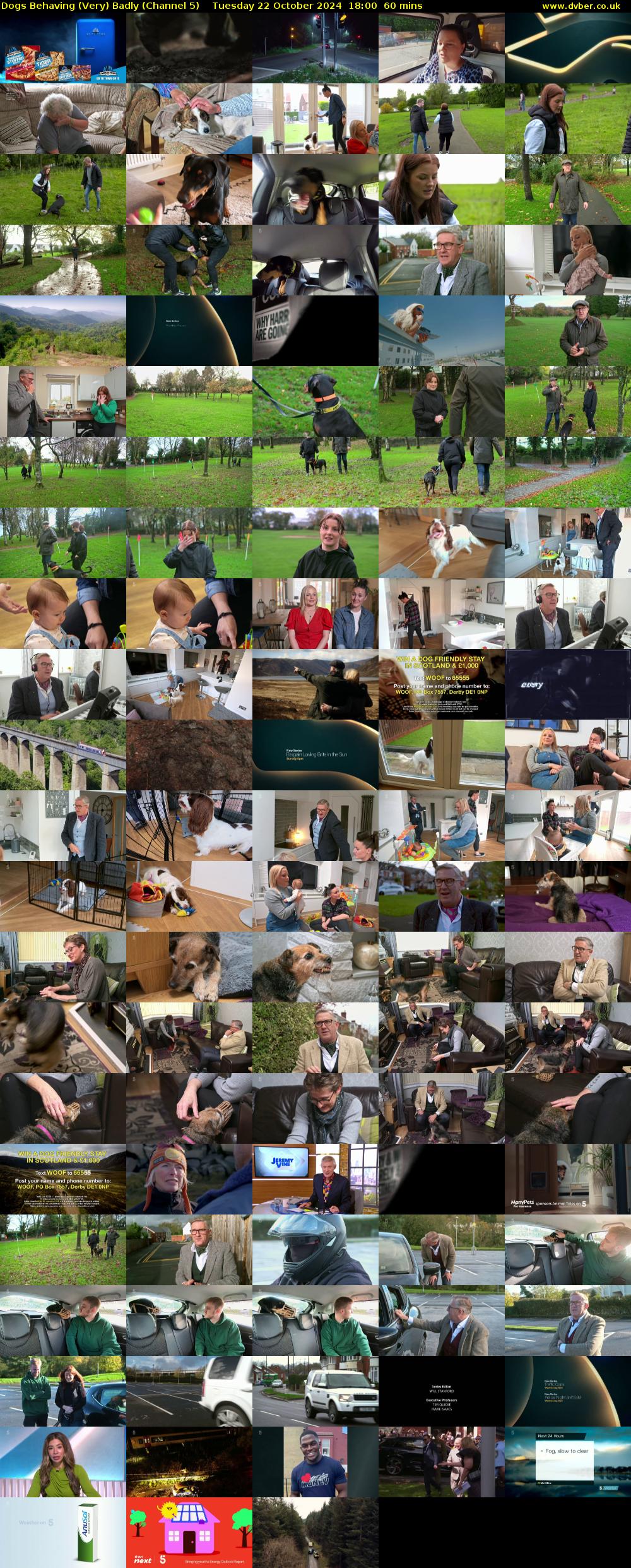Dogs Behaving (Very) Badly (Channel 5) Tuesday 22 October 2024 18:00 - 19:00