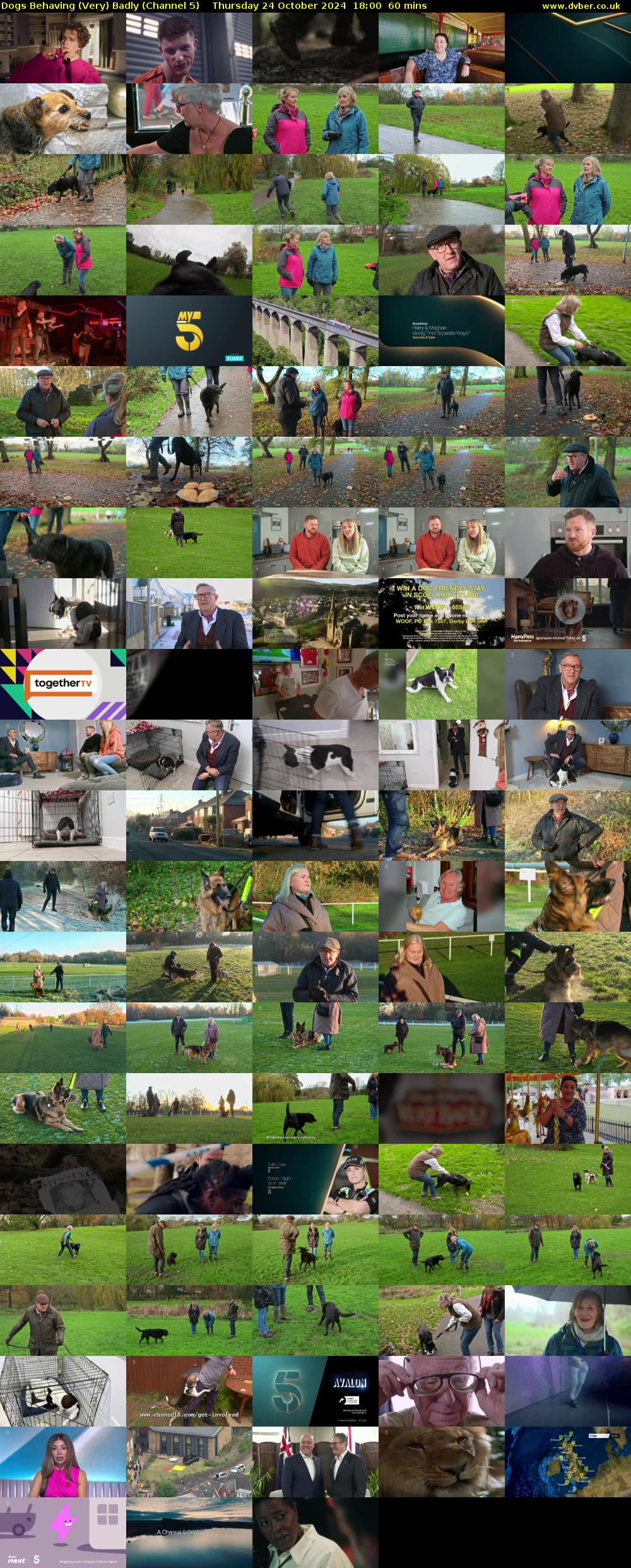 Dogs Behaving (Very) Badly (Channel 5) Thursday 24 October 2024 18:00 - 19:00