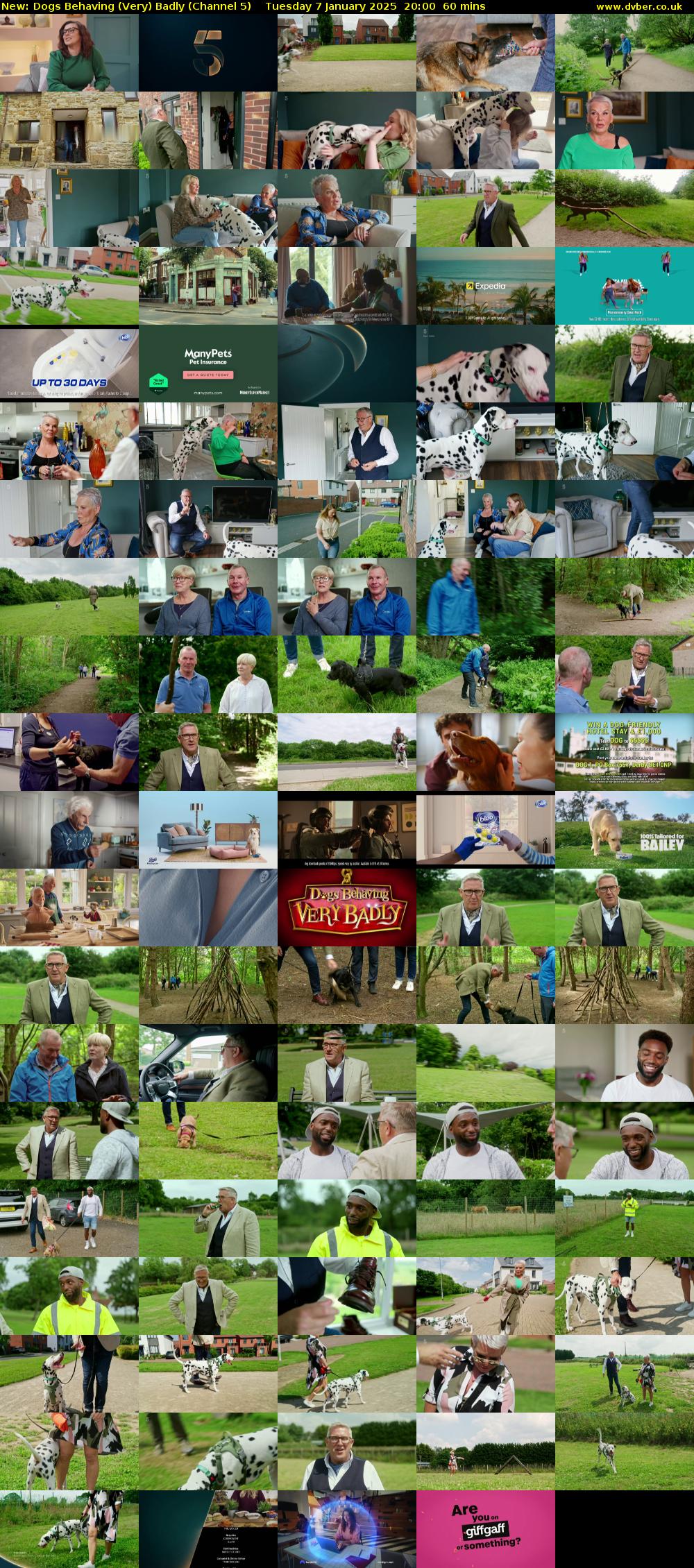 Dogs Behaving (Very) Badly (Channel 5) Tuesday 7 January 2025 20:00 - 21:00
