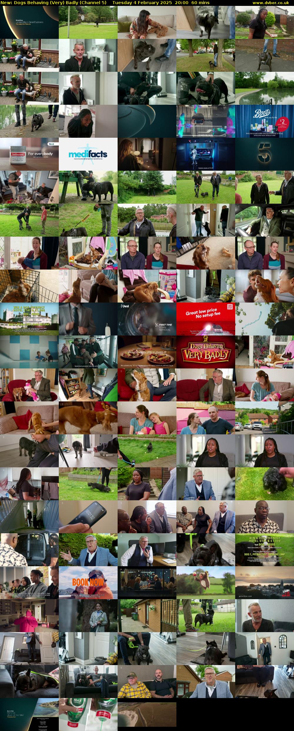 Dogs Behaving (Very) Badly (Channel 5) Tuesday 4 February 2025 20:00 - 21:00
