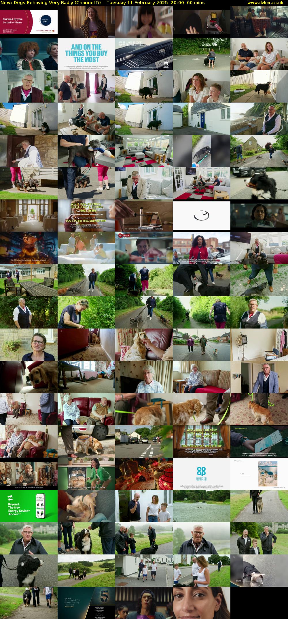 Dogs Behaving Very Badly (Channel 5) Tuesday 11 February 2025 20:00 - 21:00