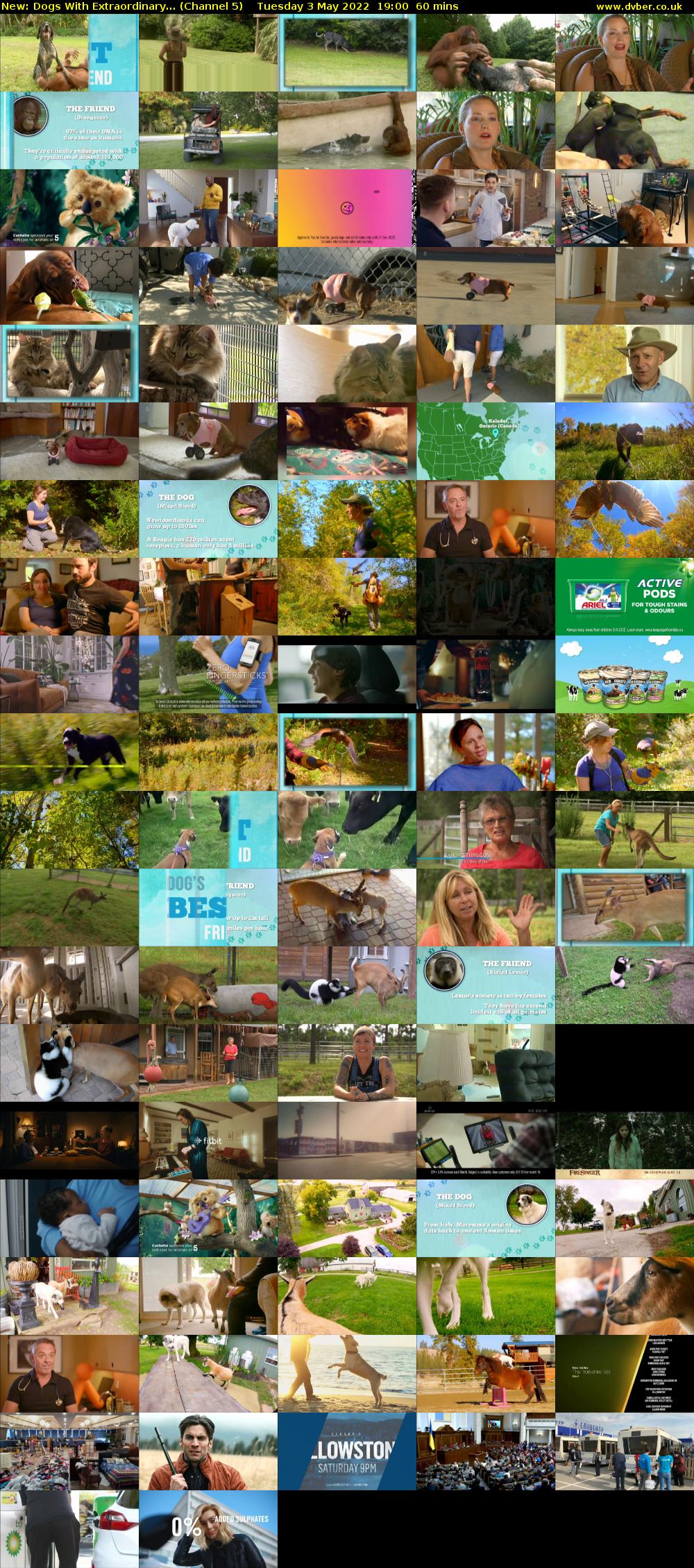 Dogs With Extraordinary... (Channel 5) Tuesday 3 May 2022 19:00 - 20:00