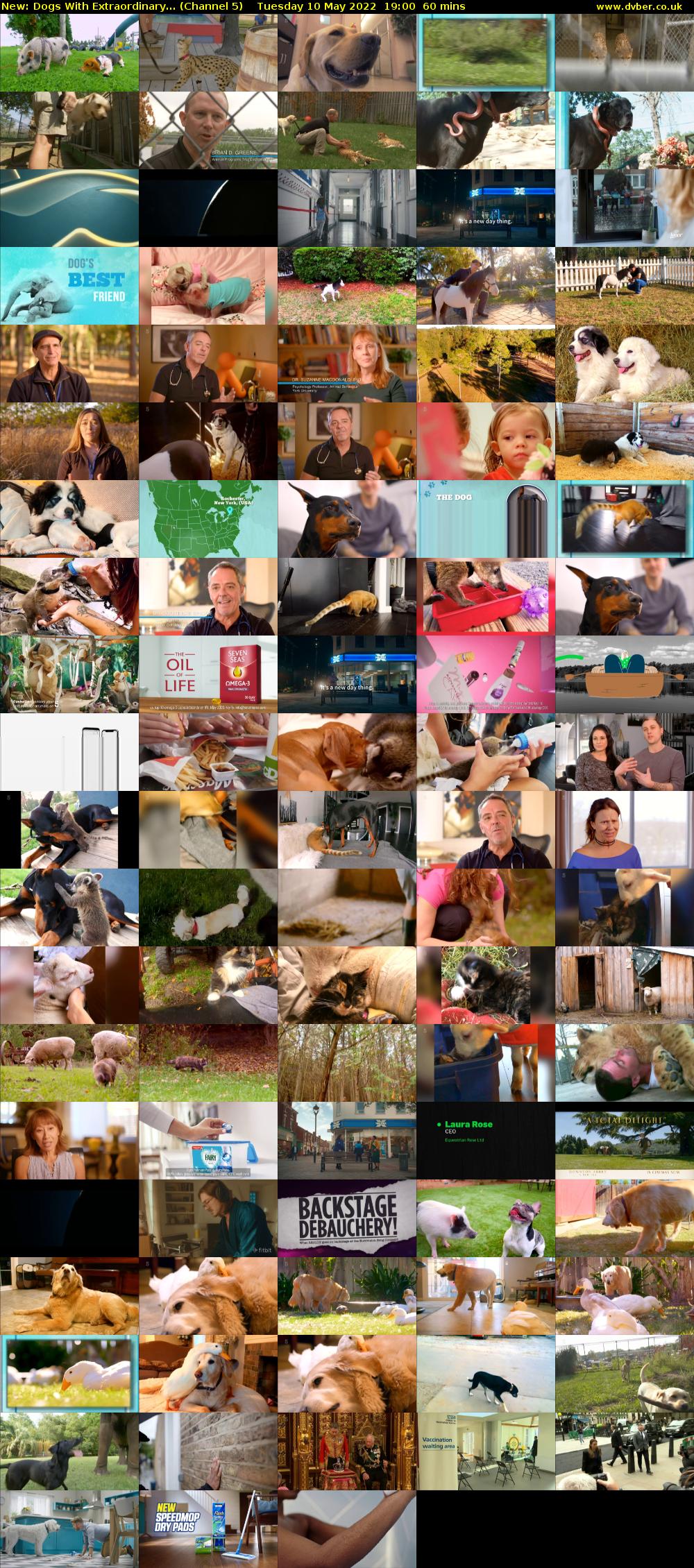 Dogs With Extraordinary... (Channel 5) Tuesday 10 May 2022 19:00 - 20:00