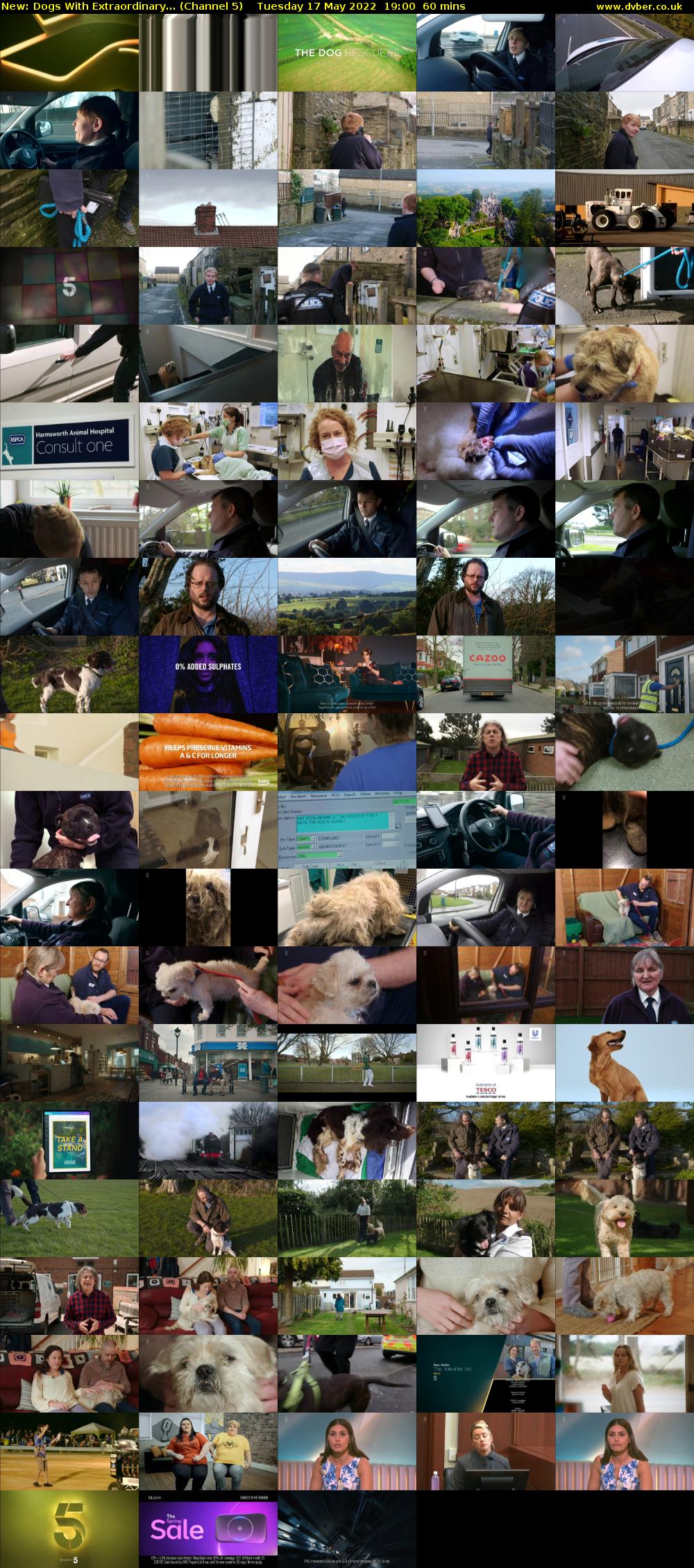 Dogs With Extraordinary... (Channel 5) Tuesday 17 May 2022 19:00 - 20:00