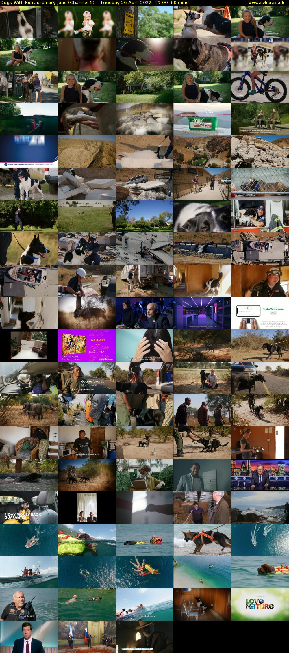 Dogs With Extraordinary Jobs (Channel 5) Tuesday 26 April 2022 19:00 - 20:00