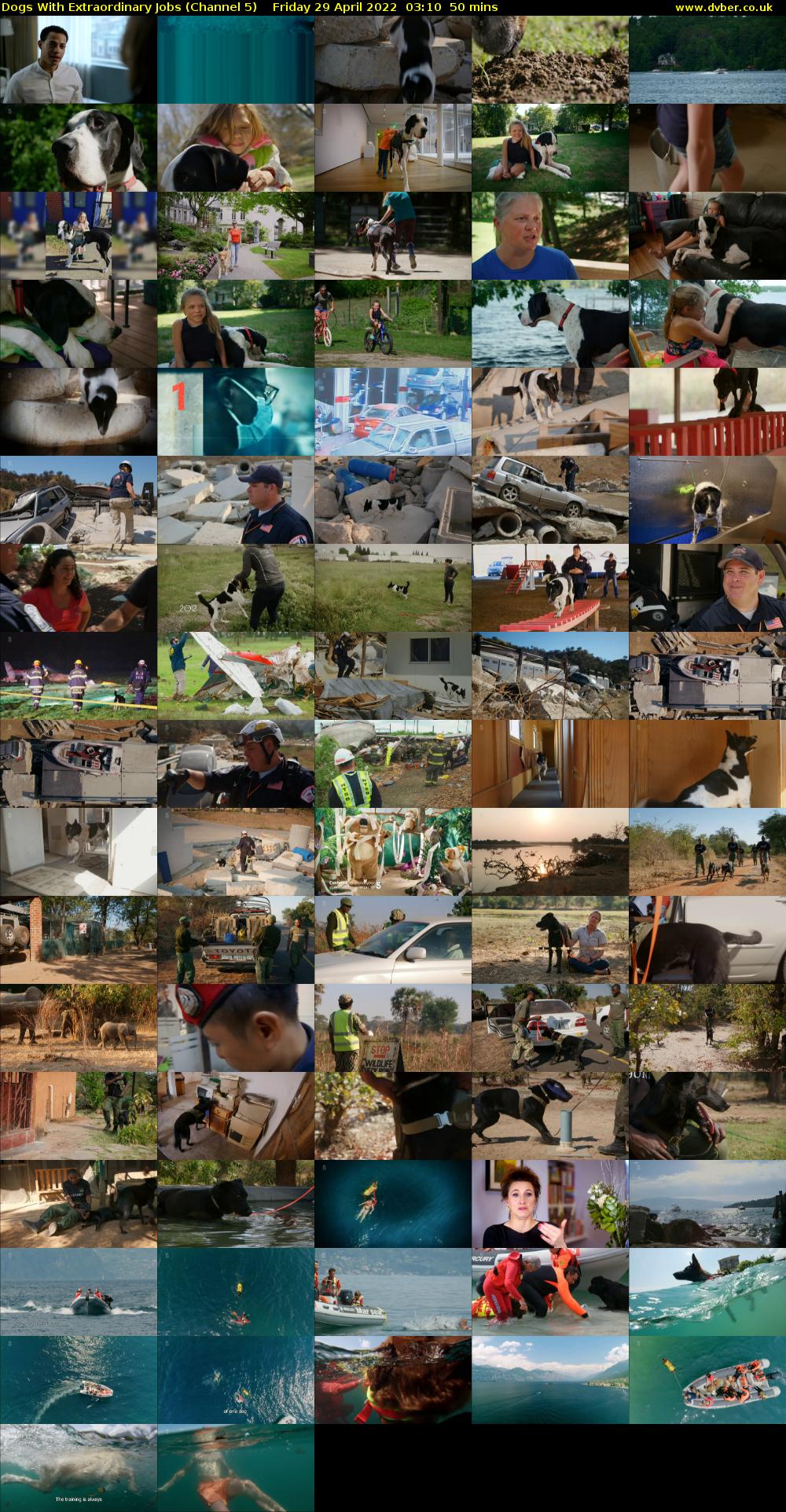 Dogs With Extraordinary Jobs (Channel 5) Friday 29 April 2022 03:10 - 04:00