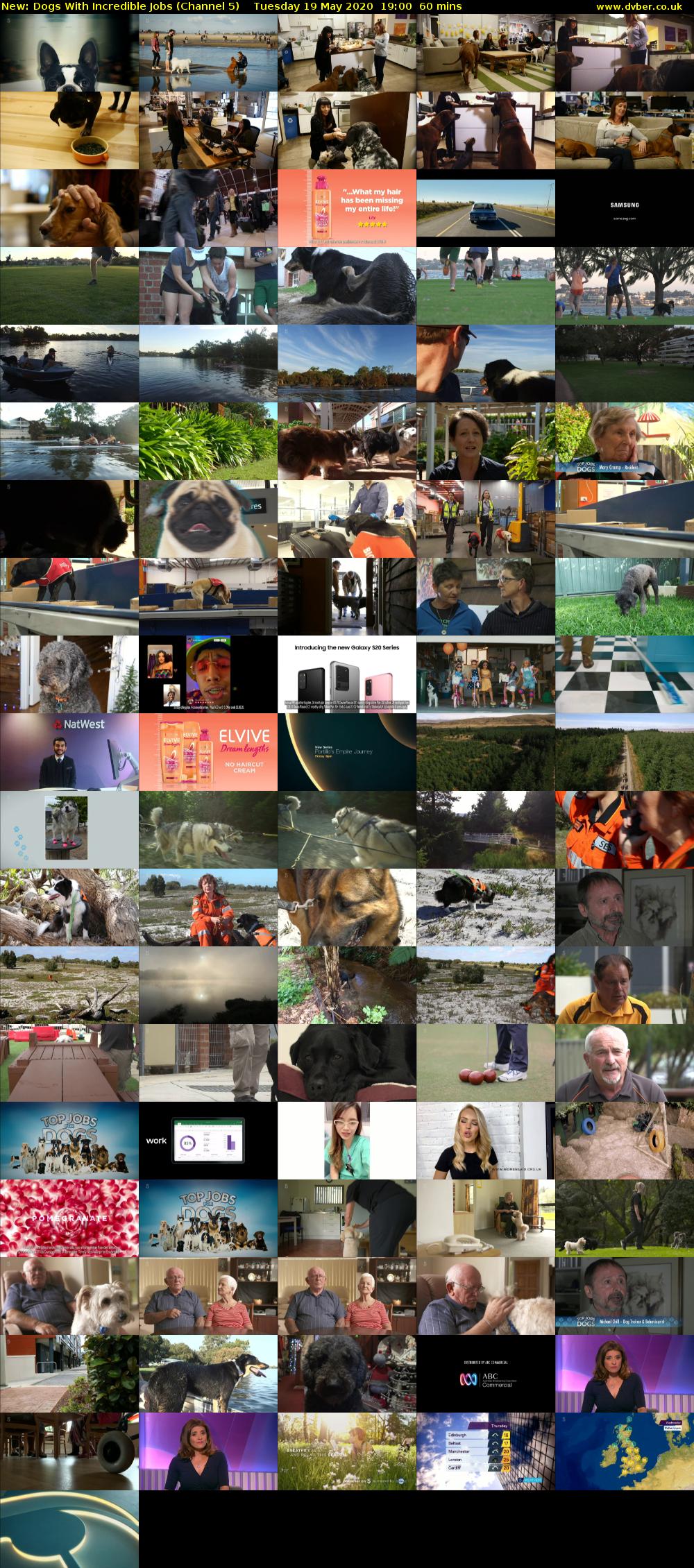Dogs With Incredible Jobs (Channel 5) Tuesday 19 May 2020 19:00 - 20:00