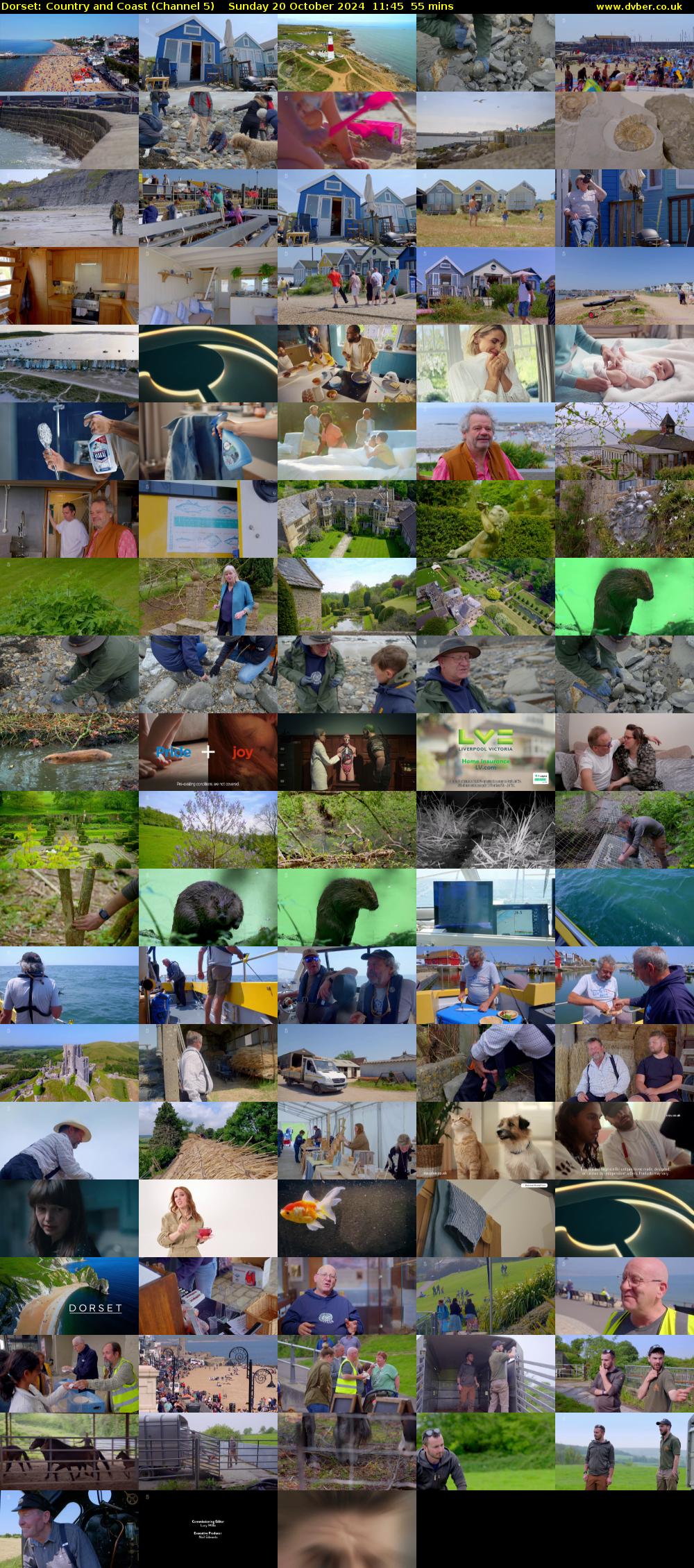 Dorset: Country and Coast (Channel 5) Sunday 20 October 2024 11:45 - 12:40