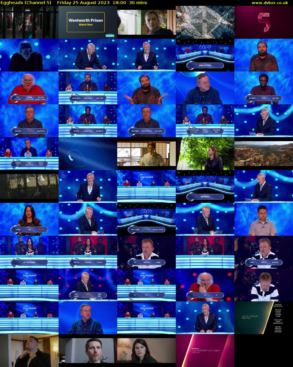 Eggheads (Channel 5) Friday 25 August 2023 18:00 - 18:30