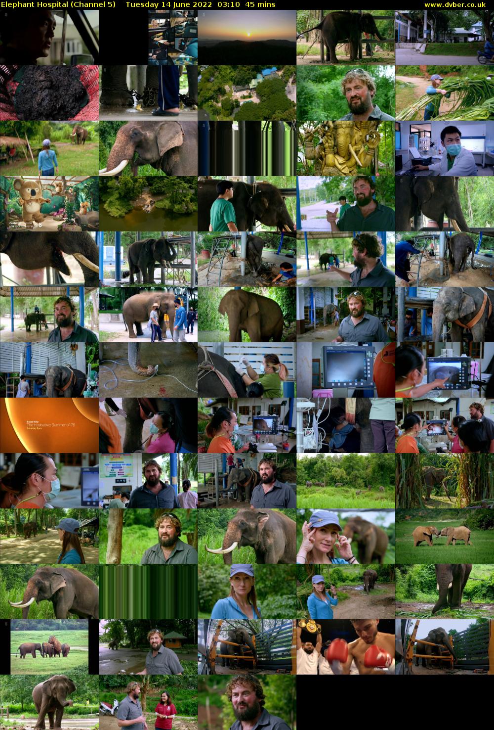 Elephant Hospital (Channel 5) Tuesday 14 June 2022 03:10 - 03:55