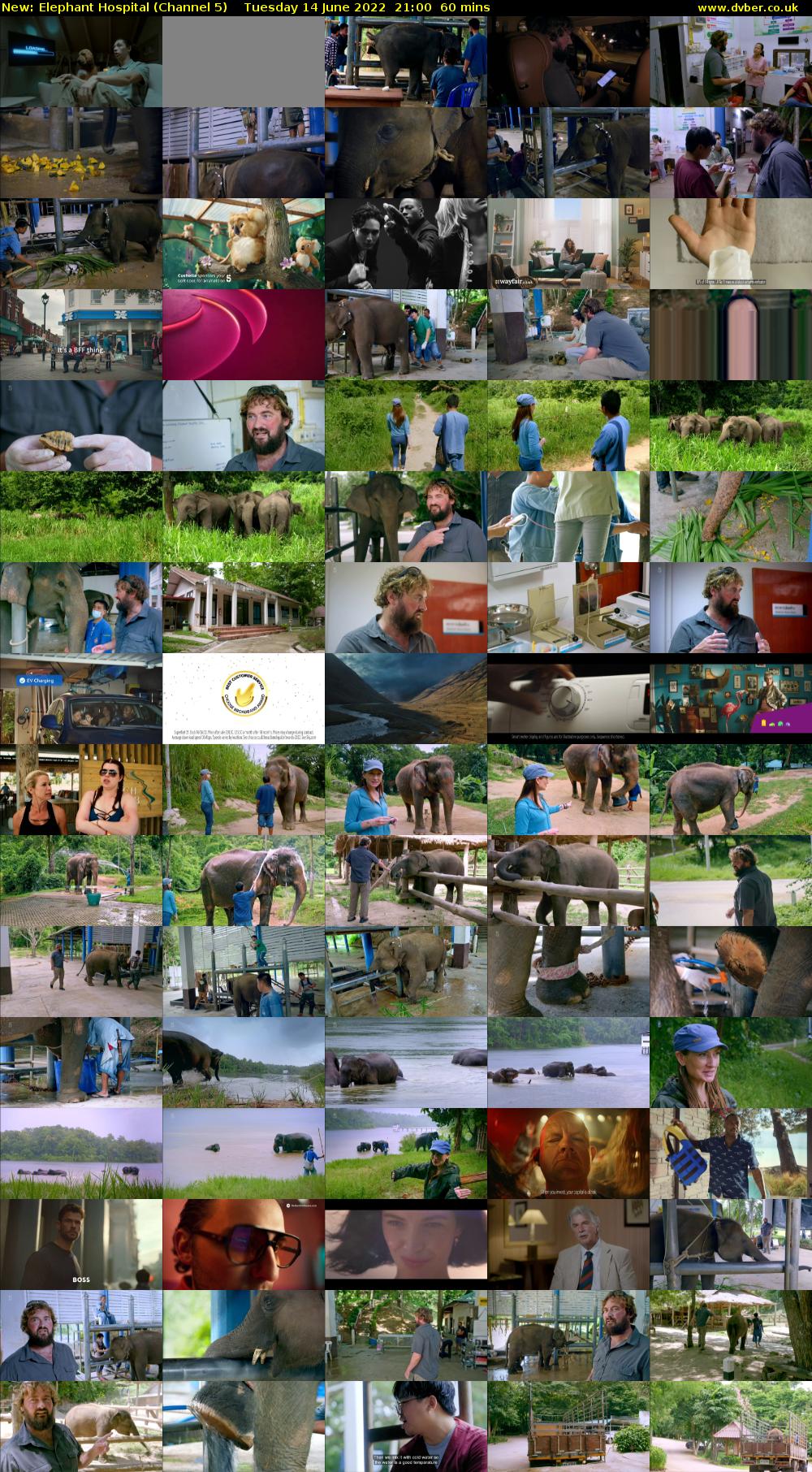 Elephant Hospital (Channel 5) Tuesday 14 June 2022 21:00 - 22:00