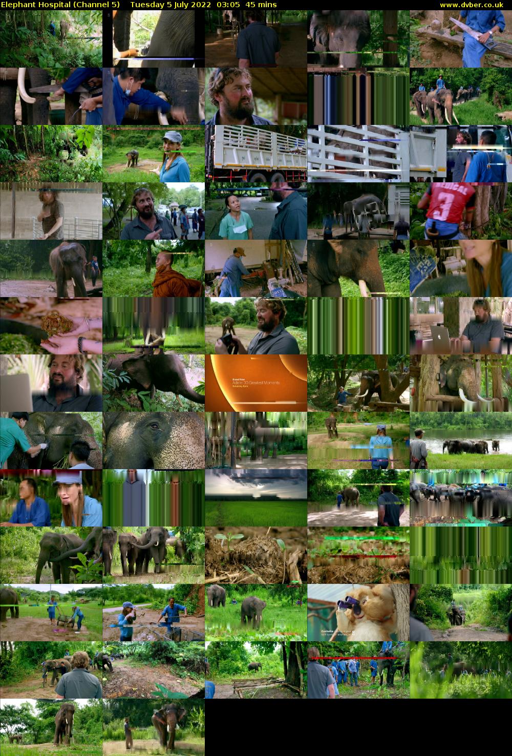 Elephant Hospital (Channel 5) Tuesday 5 July 2022 03:05 - 03:50