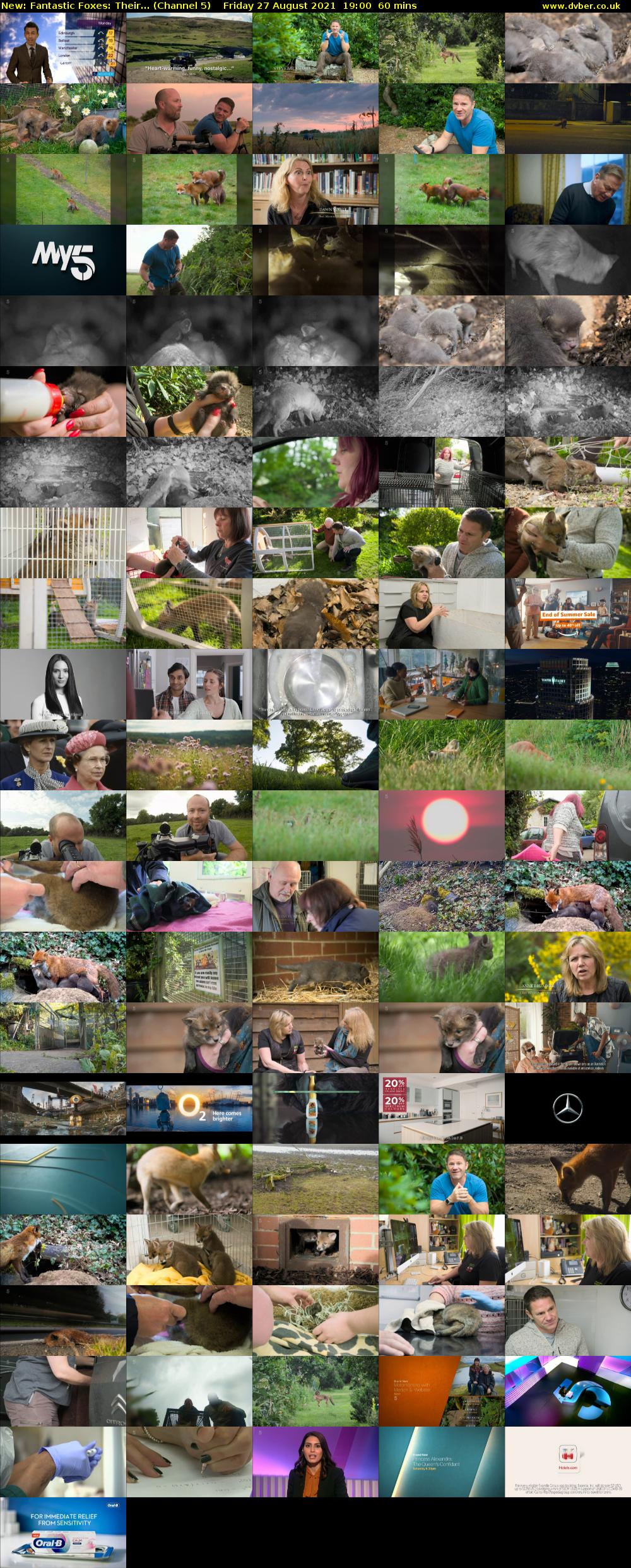 Fantastic Foxes: Their... (Channel 5) Friday 27 August 2021 19:00 - 20:00