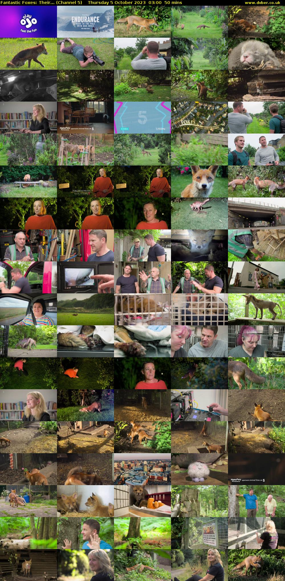 Fantastic Foxes: Their... (Channel 5) Thursday 5 October 2023 03:00 - 03:50