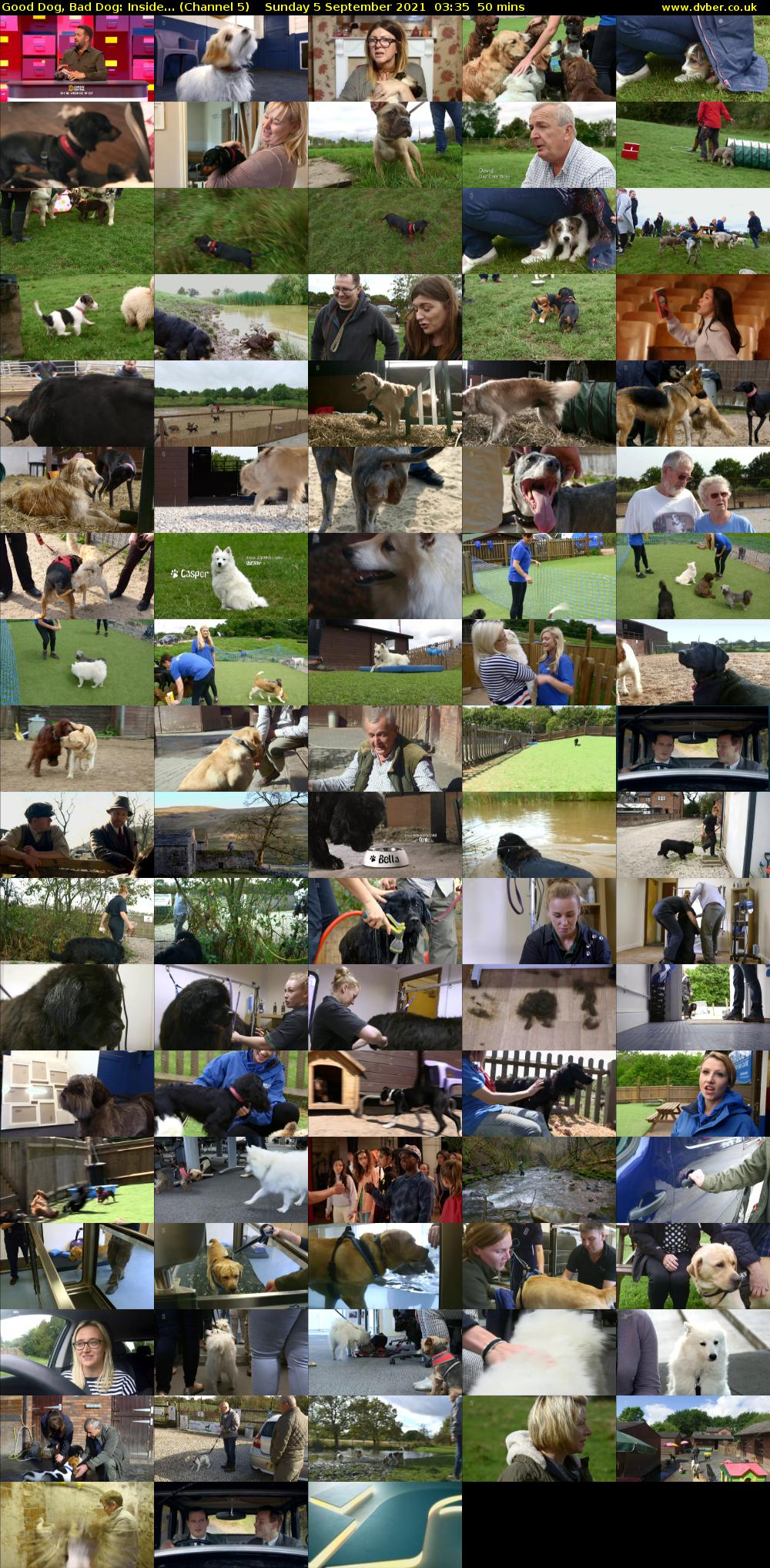 Good Dog, Bad Dog: Inside... (Channel 5) Sunday 5 September 2021 03:35 - 04:25