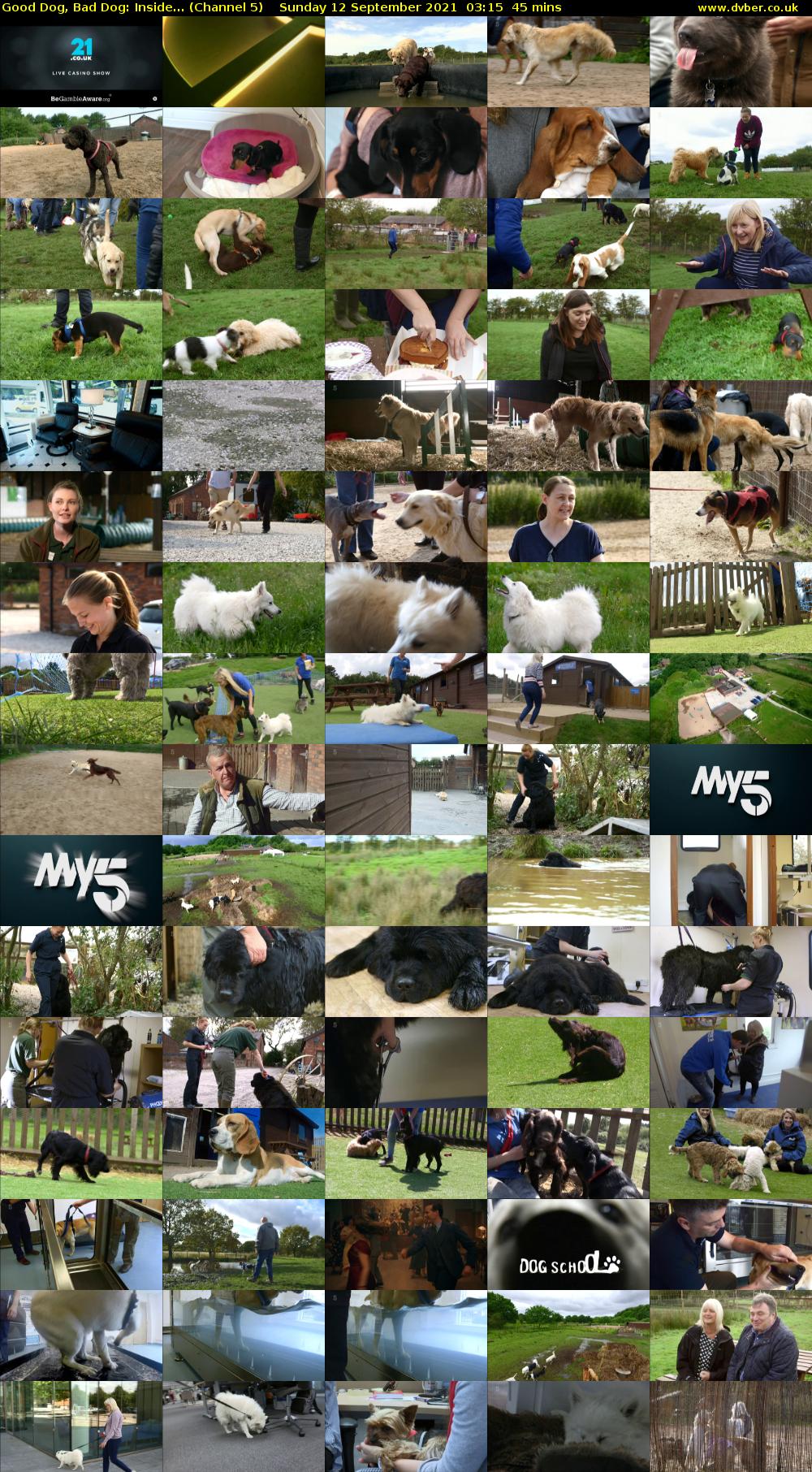 Good Dog, Bad Dog: Inside... (Channel 5) Sunday 12 September 2021 03:15 - 04:00