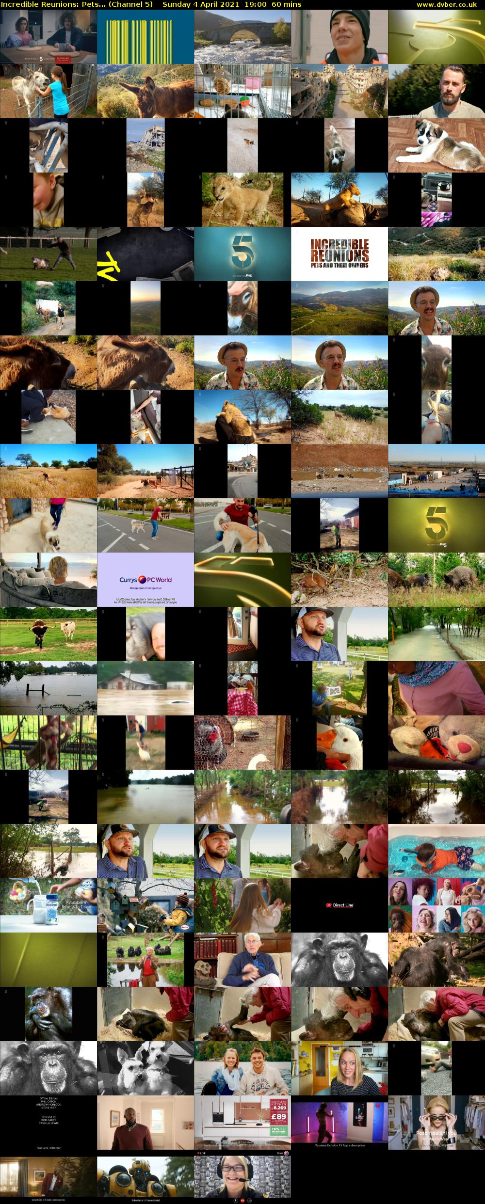 Incredible Reunions: Pets... (Channel 5) Sunday 4 April 2021 19:00 - 20:00