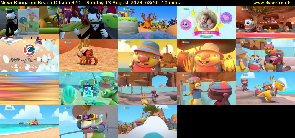 Kangaroo Beach (Channel 5) Sunday 13 August 2023 08:50 - 09:00