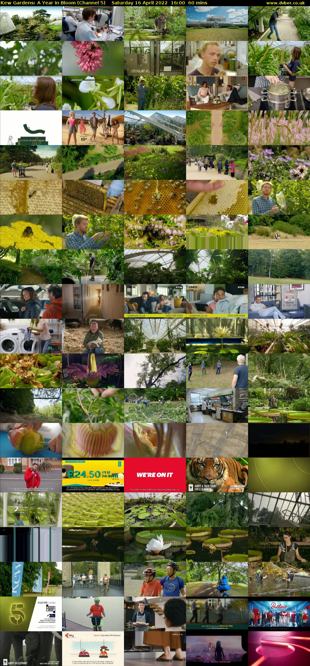 Kew Gardens: A Year In Bloom (Channel 5) Saturday 16 April 2022 16:00 - 17:00